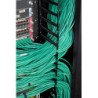 PC NetShelter SX, Networking Rack Enclosure, 42U, Black, 1991H x 750W x 1070D mm with Casters, Feet, Vertical Cable Managers, S