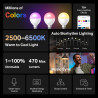 P-Link Tapo L430P
