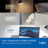P-Link Tapo L430P